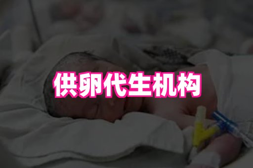 gfg孕网 1