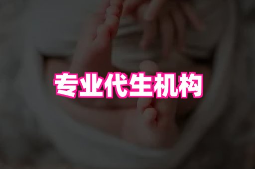 gfg孕网 3